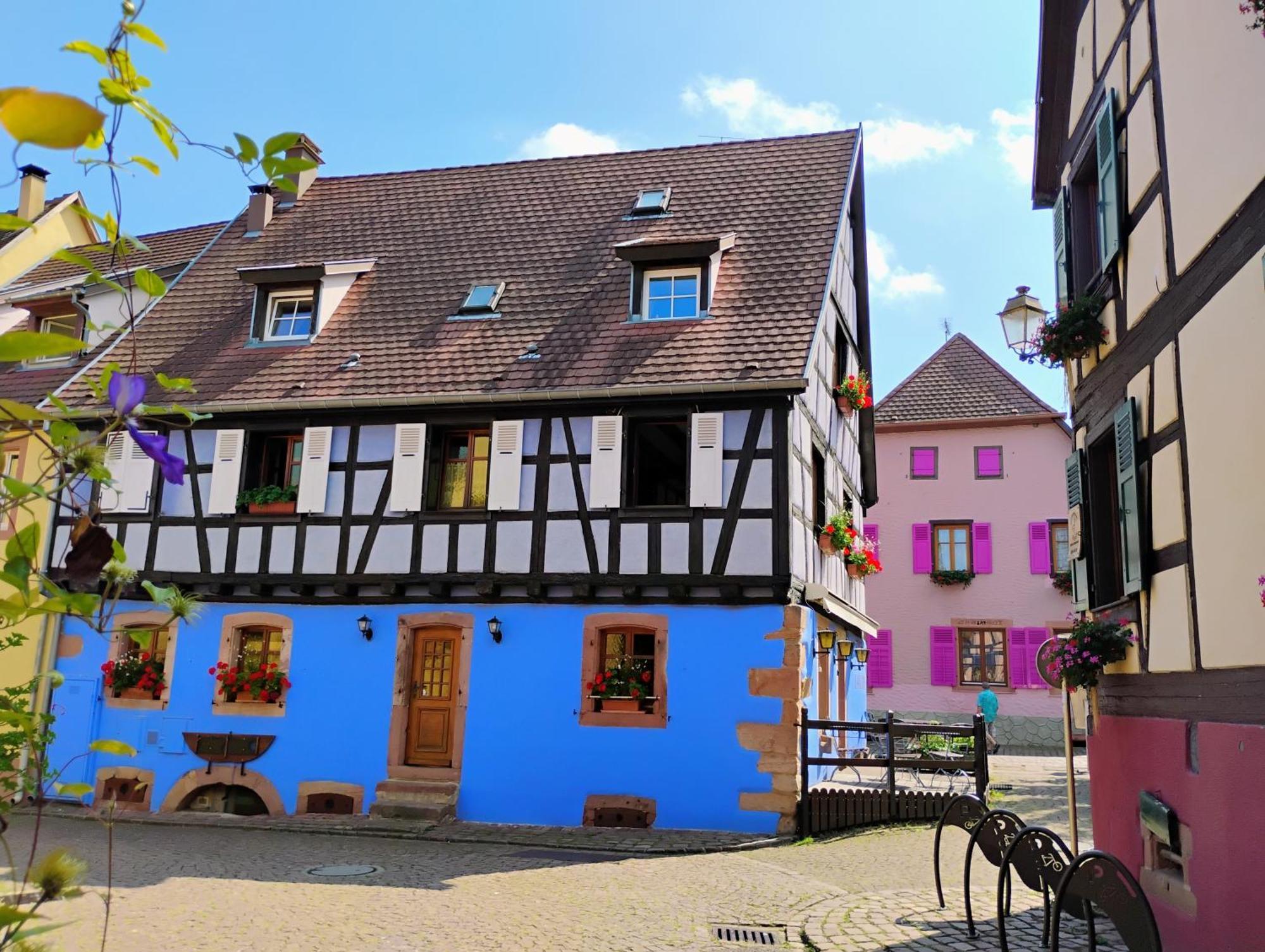Gite Le Marronnier - Au Calme - Parking & Terrasse - Pres De Colmar Et Riquewihr - Route Des Vins Châtenois Exteriér fotografie