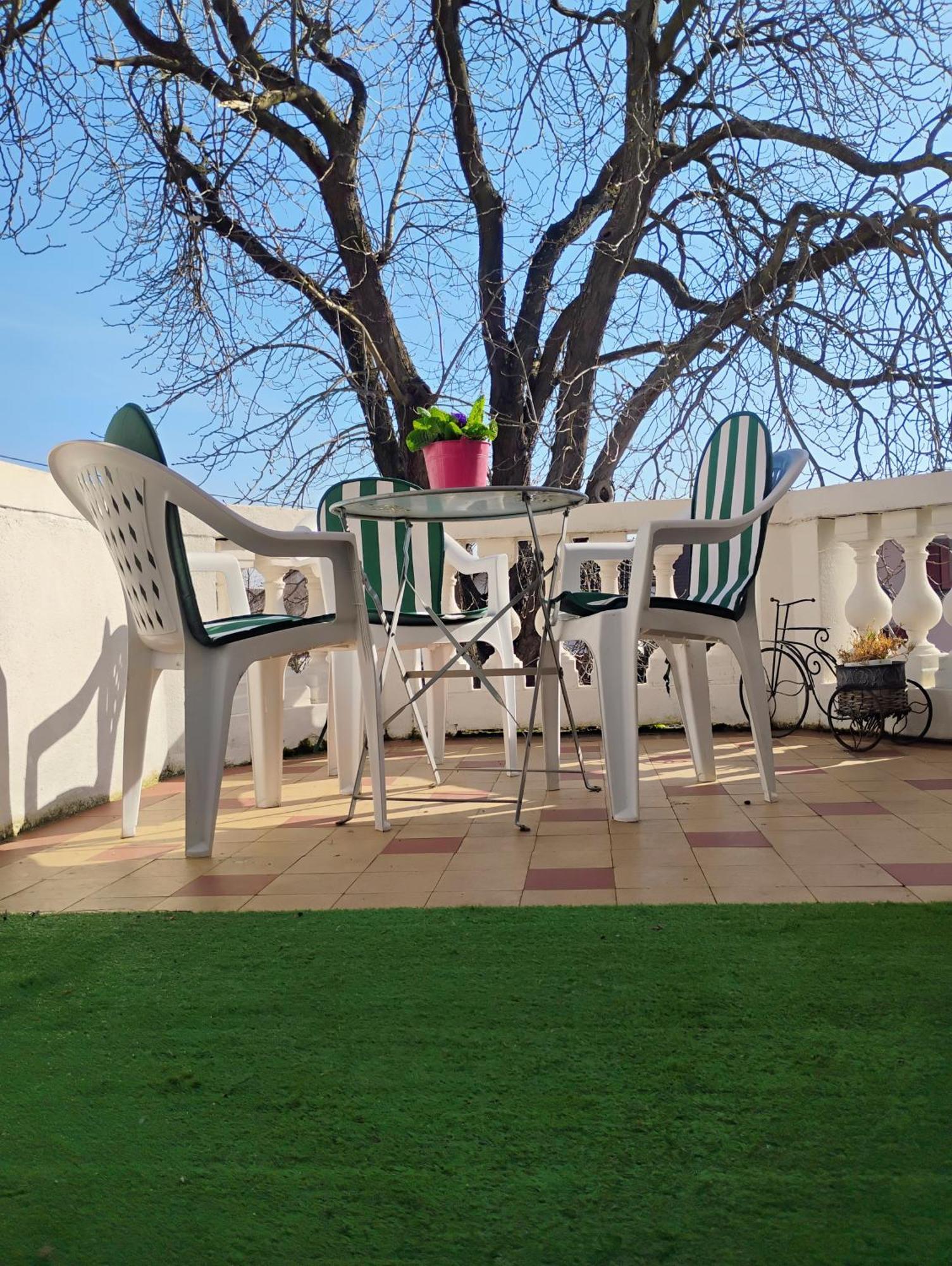 Gite Le Marronnier - Au Calme - Parking & Terrasse - Pres De Colmar Et Riquewihr - Route Des Vins Châtenois Exteriér fotografie