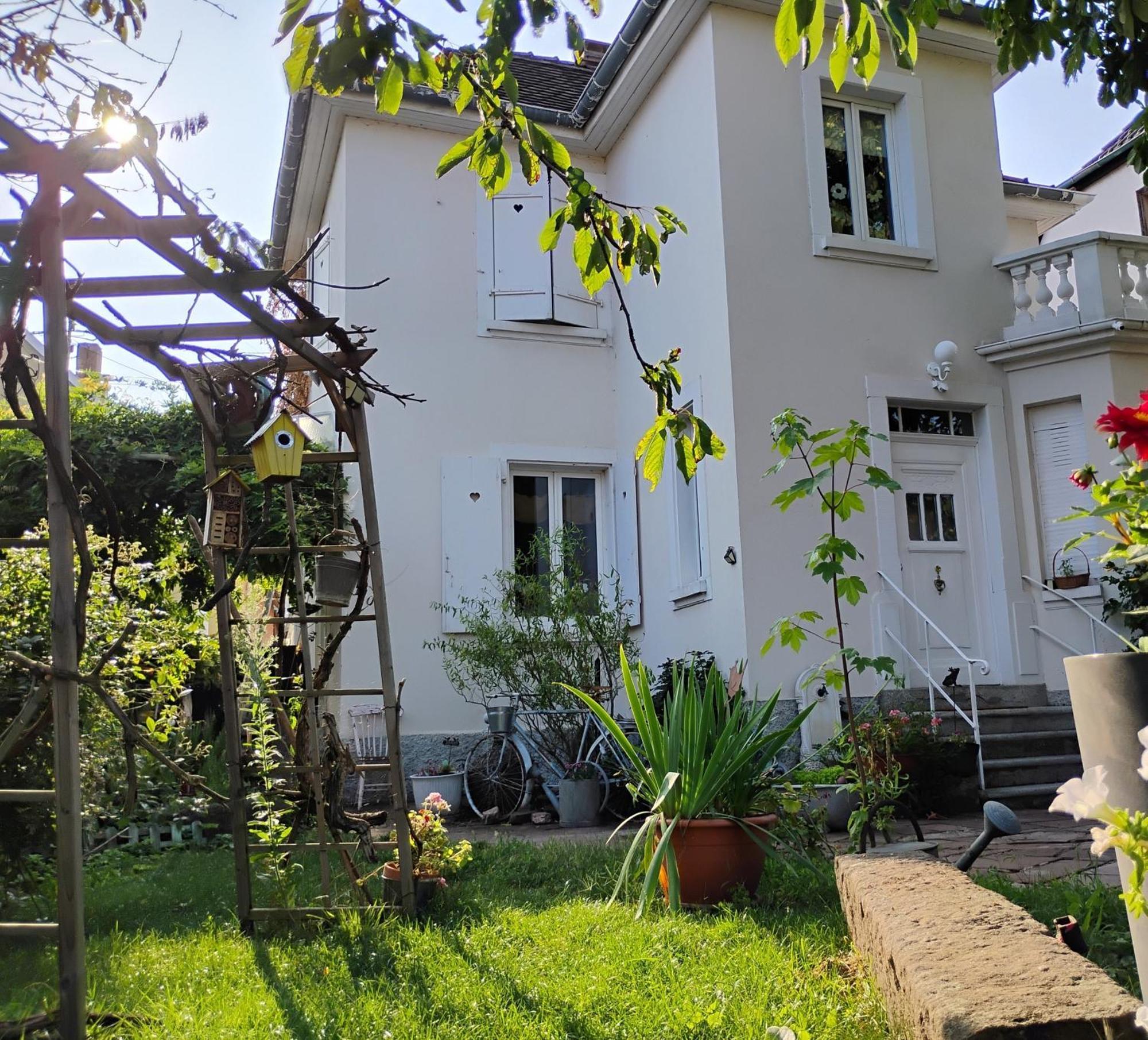 Gite Le Marronnier - Au Calme - Parking & Terrasse - Pres De Colmar Et Riquewihr - Route Des Vins Châtenois Exteriér fotografie