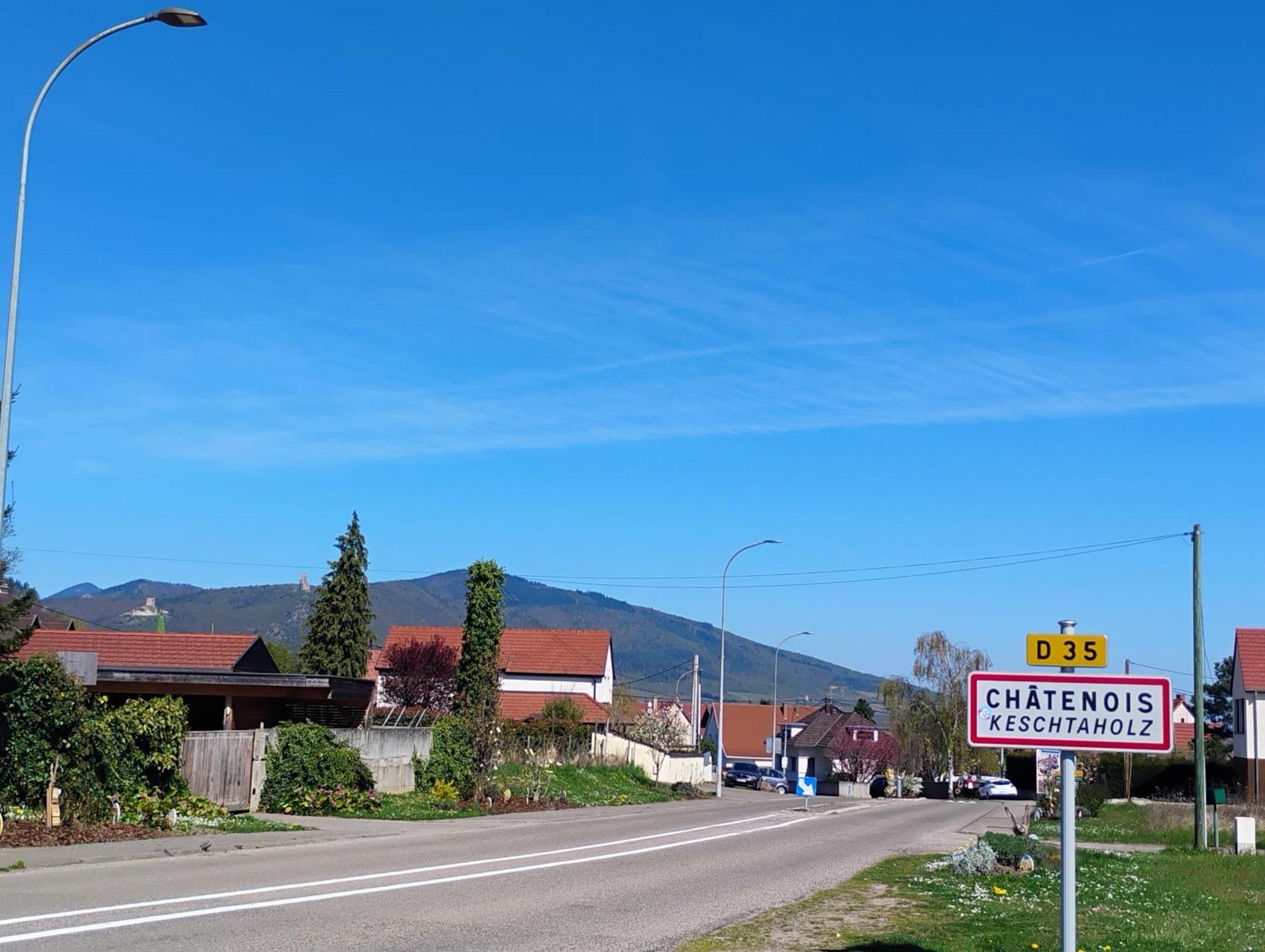 Gite Le Marronnier - Au Calme - Parking & Terrasse - Pres De Colmar Et Riquewihr - Route Des Vins Châtenois Exteriér fotografie